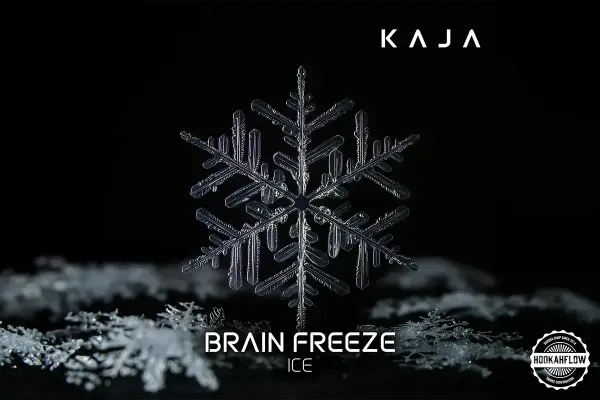 Kaja Brain Freeze 25g.webp